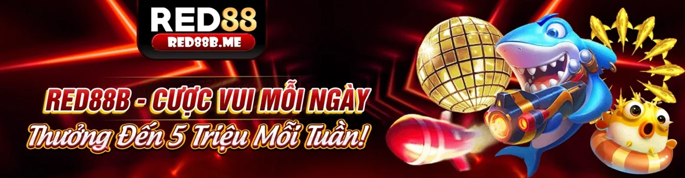 Hình ảnh chính blog 11hu88 với các bài viết mới nhất